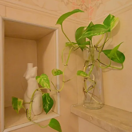 Apartment Luxury Boncompagni Rome